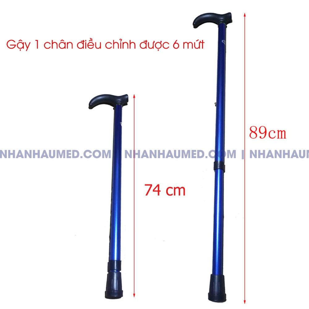 Gậy 1 Chân, Batong Chống Cho Người Già Điều Chỉnh Được 6 Mứt Hàng Chuẩn
