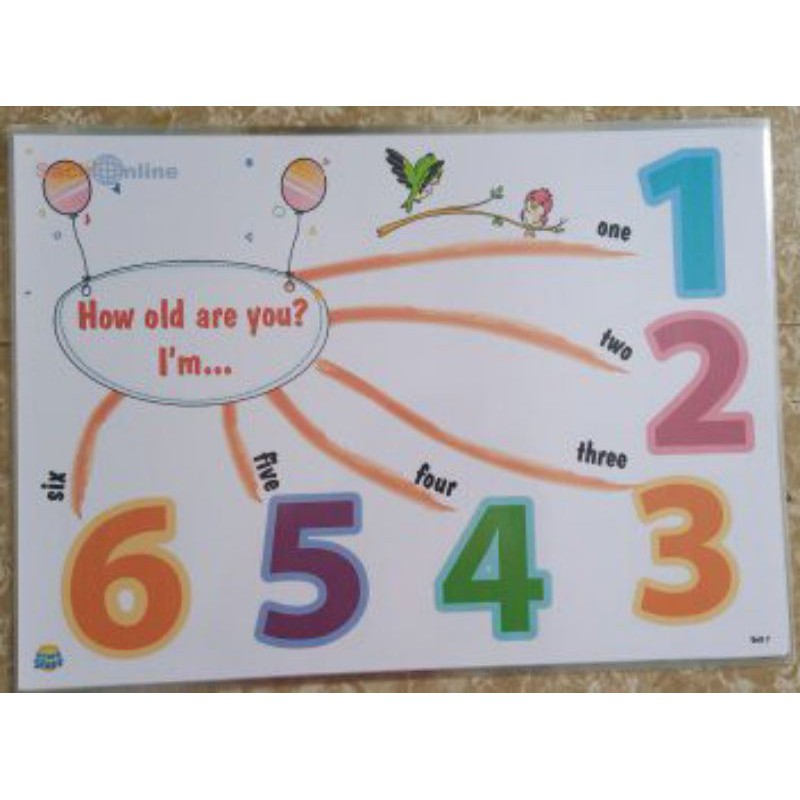 Flashcard mindmap I learn smart start 1 khổ A3 ép plastic