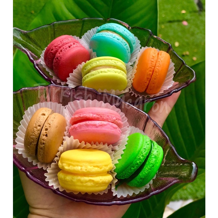 Bánh MACARON Bigsize (3,5-4cm)