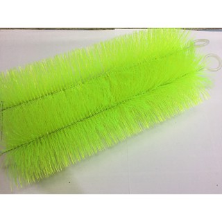 Chổi xanh Lọc hồ cá Koi 40cm