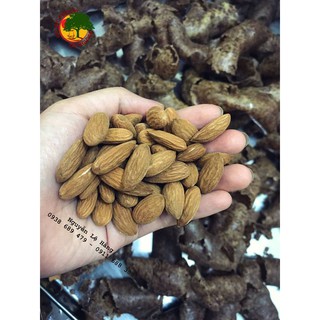 SON DƯỠNG GẤC NGHỆ HẠNH NHÂN
