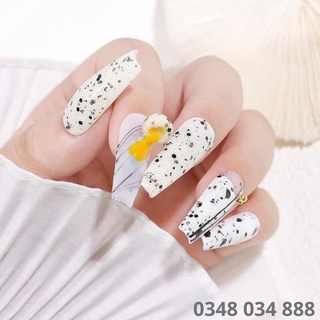 Top trứng cút vinimay