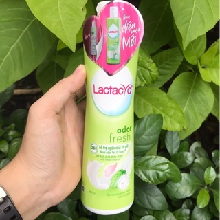 LACTACYD ODER FRESH - LACTACYD TRẦU KHÔNG - DUNG DỊCH VỆ SINH TRẦU KHÔNG - 250ML