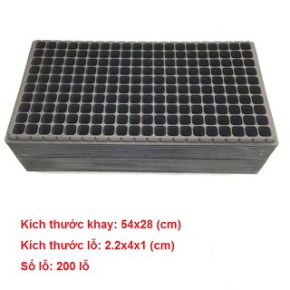 Combo 50 khay gieo hạt giâm cành 200 lỗ, hàng loại 1 chất lượng cao