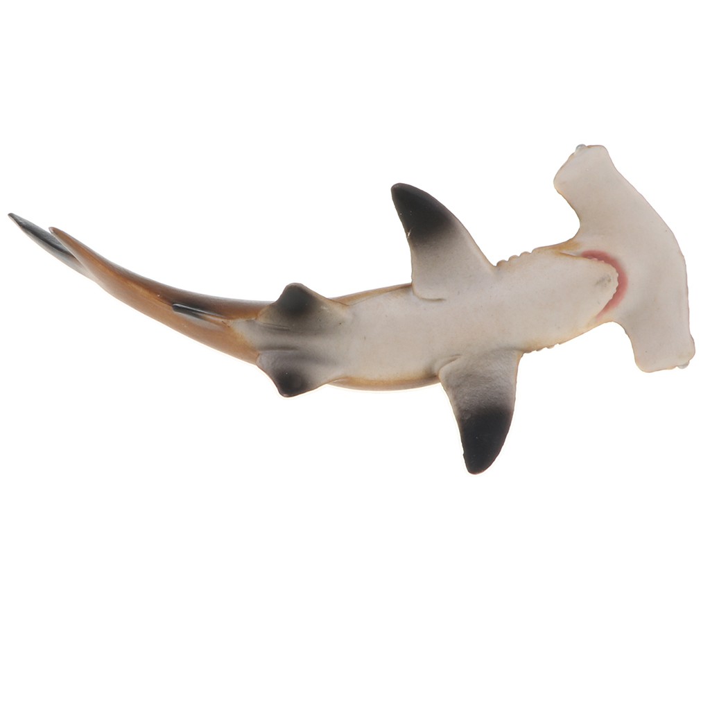 [Baosity 1] Mô Hình Cá Mập Bằng Nhựa Trang Trí Nhà Cửa