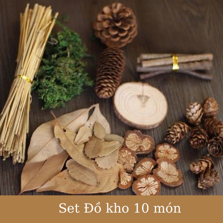 Cành Lá Khô Chụp Ảnh Trang Trí Nhà Cửa