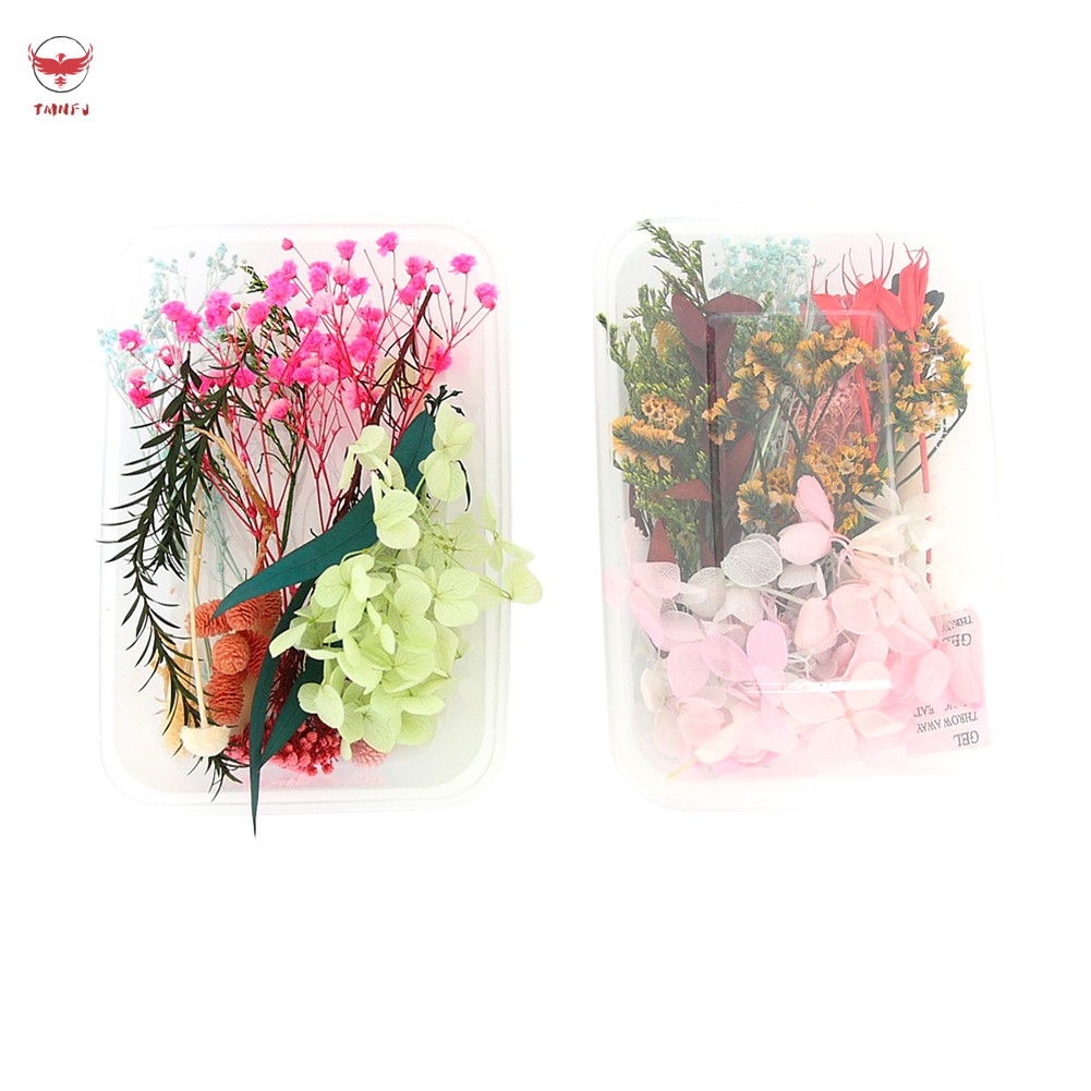 Set hoa lá thật ép khô hỗn hợp tự làm mặt trang sức nhựa resin/nến thủ công
