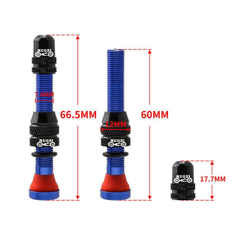 Van Xe Đạp Kèm Dụng Cụ Tháo Lốp Không Ruột TAYLOR1
