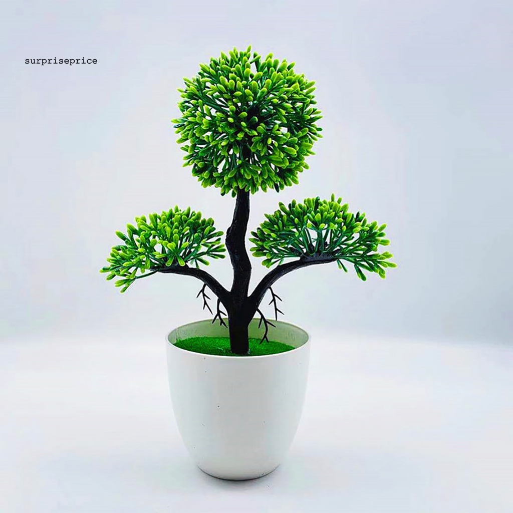 Chậu Cây Bonsai Giả Mini Trang Trí Nhà Cửa