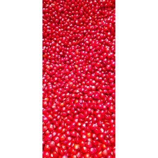 Hạt giống cẩm Thái Lan