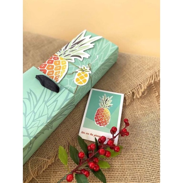 10 bộ túi vỏ hộp đựng bánh kt 21x8,5cm