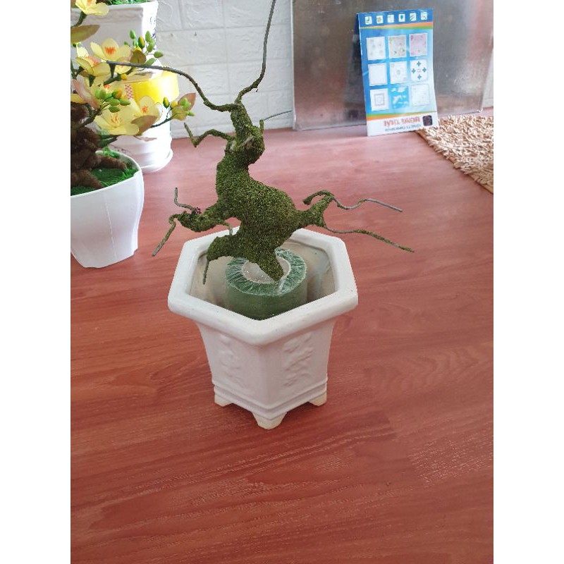 Gốc bonsai 30cm 35k