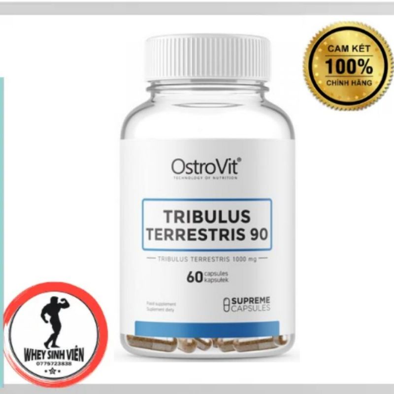 Thực Phẩm Bổ Sung Tăng Test Ostrovit Tribulus Terrestris 90 60 Viên TẠI WHEYSINHVIEN.COM