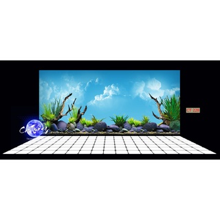 Tranh 3d dán bể cá thủy sinh, bể cá rồng