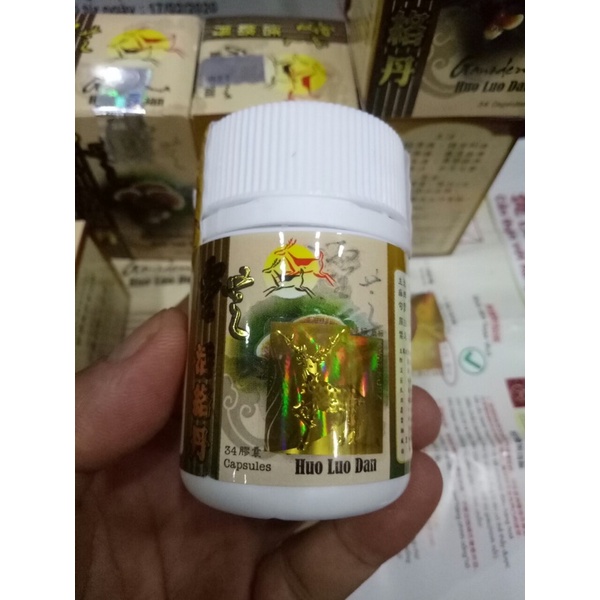 Linh Chi hoạt lạc đơn Malaysia