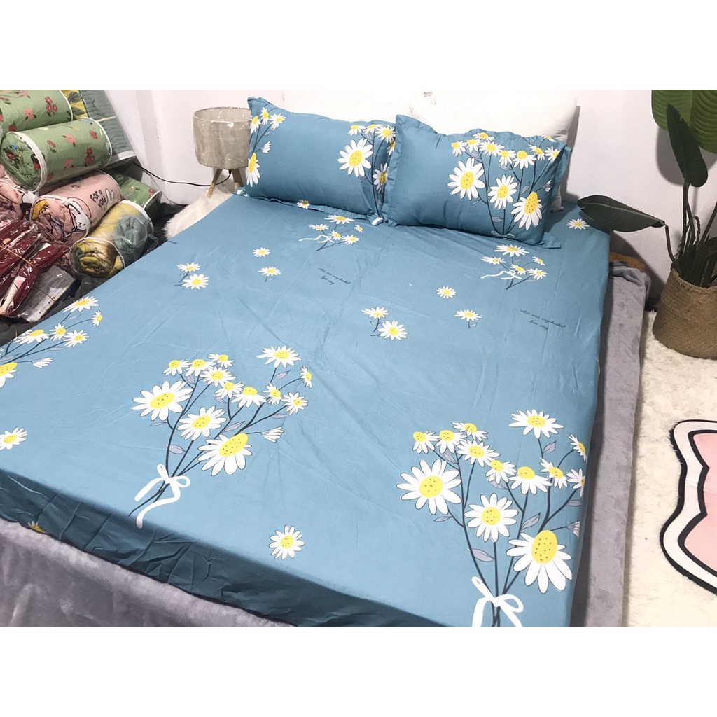 [Free ship-Xả hàng]Ga trải giường,drap ga giường poly cotton,mẫu gấu xám