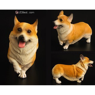 [Có Sẵn] Mô hình cún Corgi