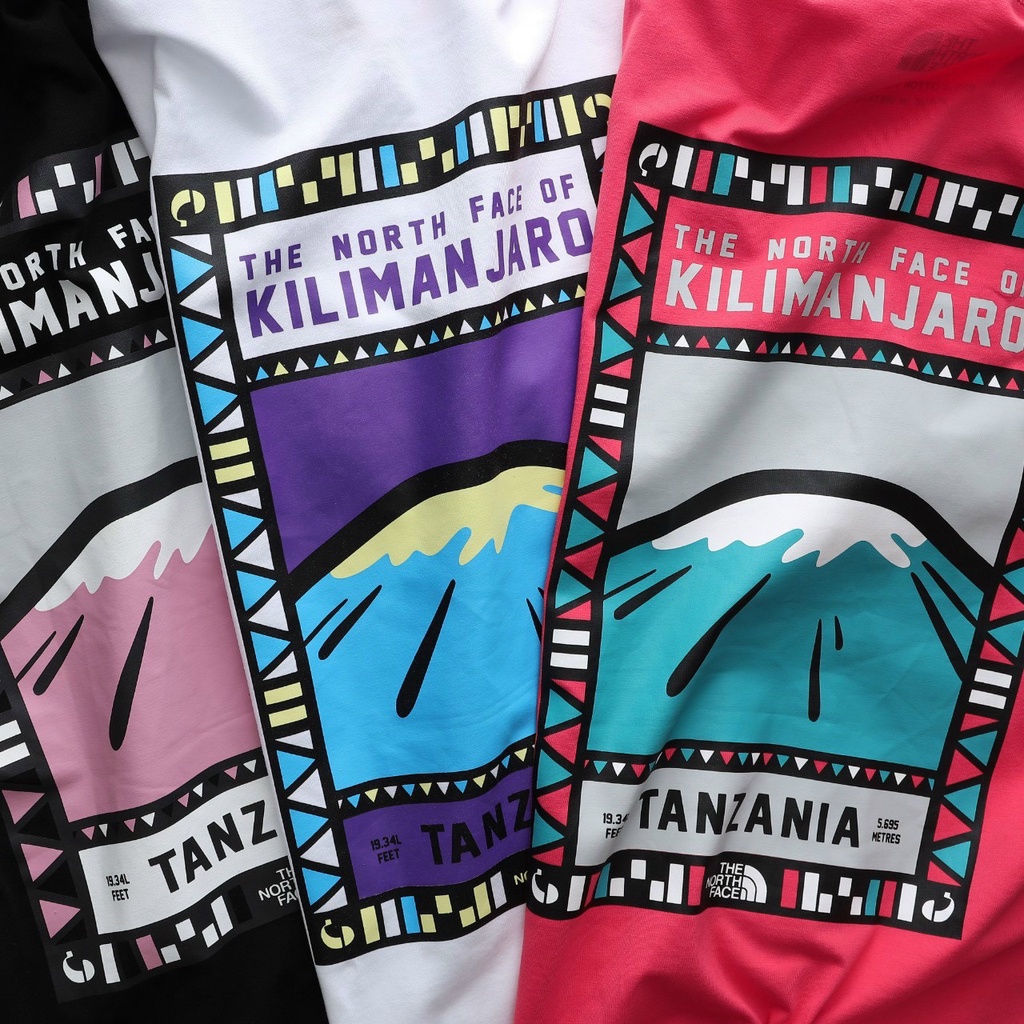 Áo Thun Nam NORTH Xuất Khẩu 100% Cotton Mịn 4 Chiều Form Unisex , BigSize . Ivan BigSize AT112