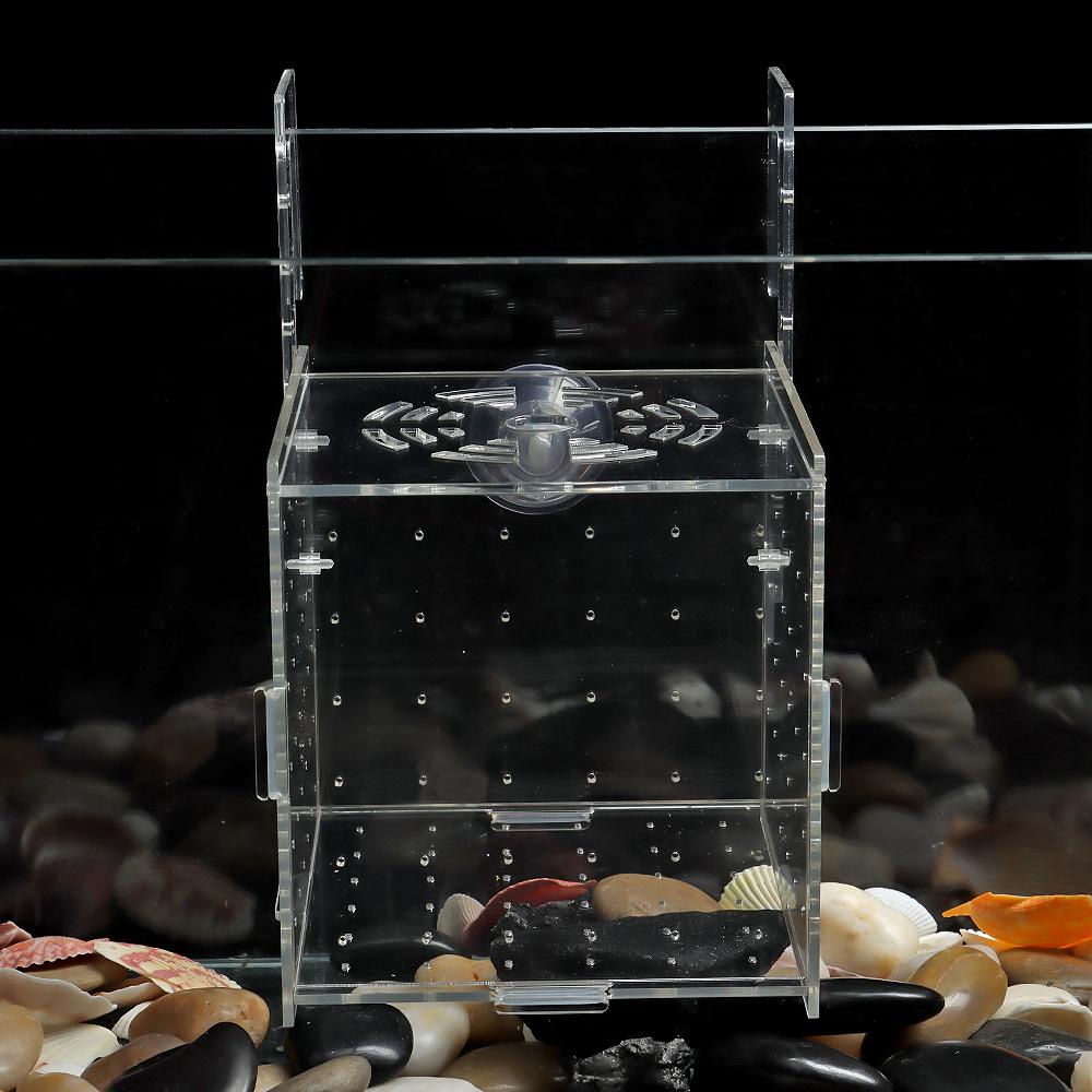 DORAW Hộp Nuôi Cá Cách Ly Tiện Lợi