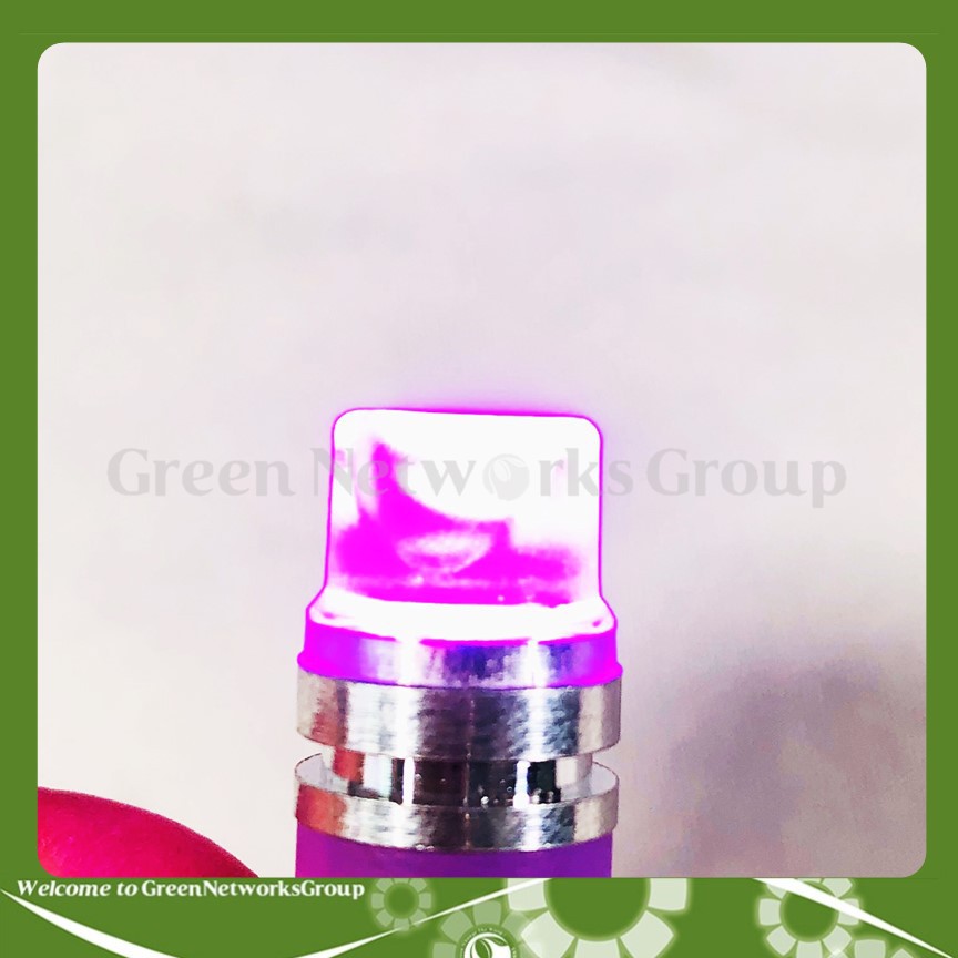 Đèn xi nhan chân ghim T10 chớp ánh sáng 7 màu Greennetworks