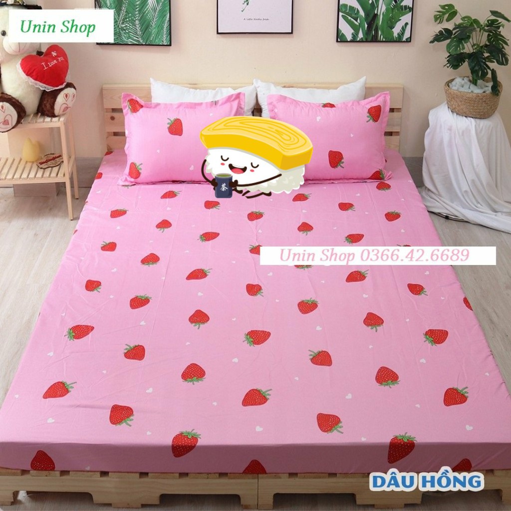 Bộ ga gối 3 món mẫu DÂU HỒNG m2/m6/m8/2m2, drap bo chun + 2 vỏ gối poly cotton, ga giường bo chun giá rẻ