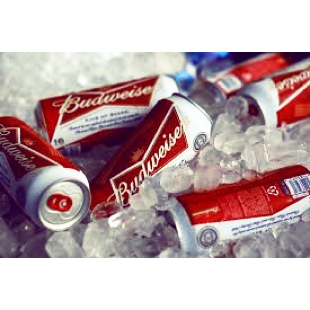 Bia Mỹ budweiser