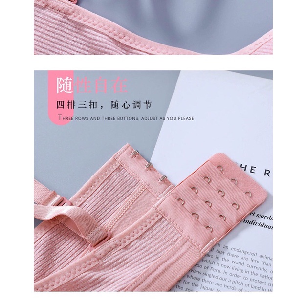 Áo lót ngực nữ sinh cotton cao cấp dây lưng bản to 3 móc chắc chắn 163