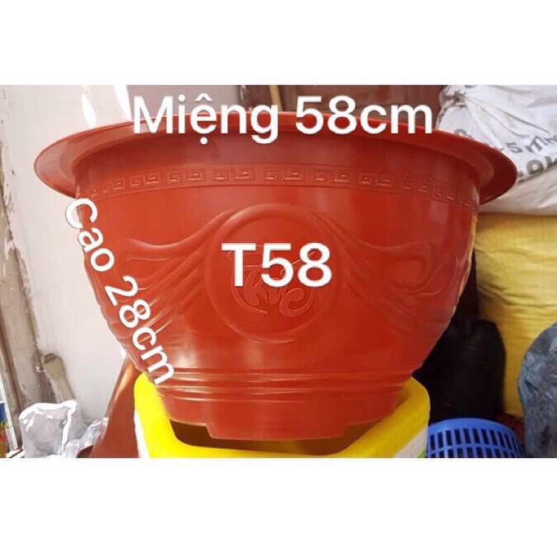 Chậu nhựa trồng cây 2 cái T58 đỏ gạch