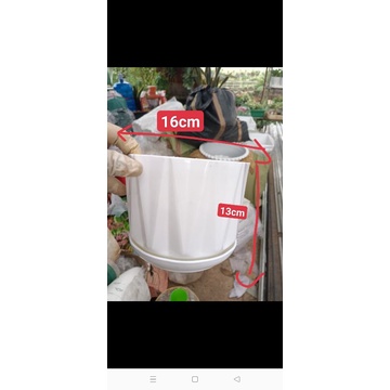 Combo 3chậu nhựa có đĩa 16*13