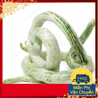 Hạt Giống Mướp Rắn F1