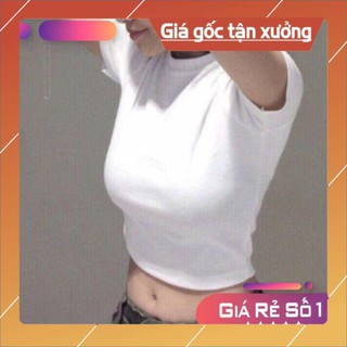 Áo croptop thun gân cộc tay