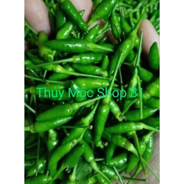 LÁ É TƯƠI PHÚ YÊN💥"COMBO NGUYÊN LIỆU LẨU GÀ LÁ É" : LÁ É TƯƠI, MĂNG CỦ LUỘC, NẤM BÀO NGƯ, ỚT XIÊM XANH, BÚN TƯƠI