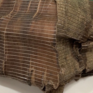 Đỗ Trọng (Sạch, Đẹp) Bổ Thận Tráng Dương, Mạnh Gân Cốt túi 100gr - 500gr