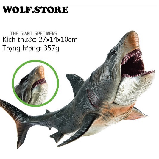 Mô hình khủng long Mosasaurus - Megalodon