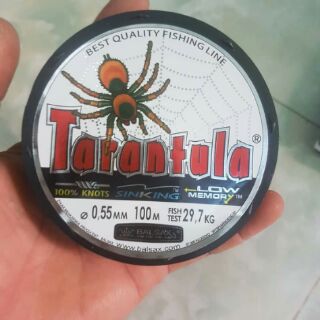 Cước câu cá tarantula 100m