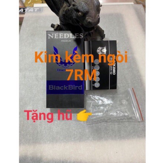 50 kim xăm+ ngòi 7rm đánh bóng ngang vát 2 đầu