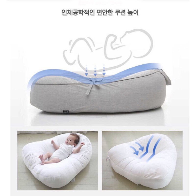 Aribebe gối chống trào ngược sx tại Hàn