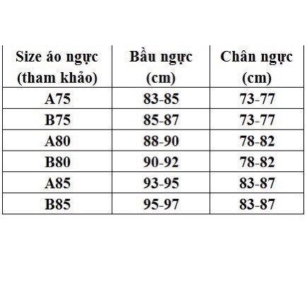 Áo Ngực Ren Siêu Đẩy Mút Dày 5cm Có Gọng Thương Hiệu Enowisa's Mã 029HW