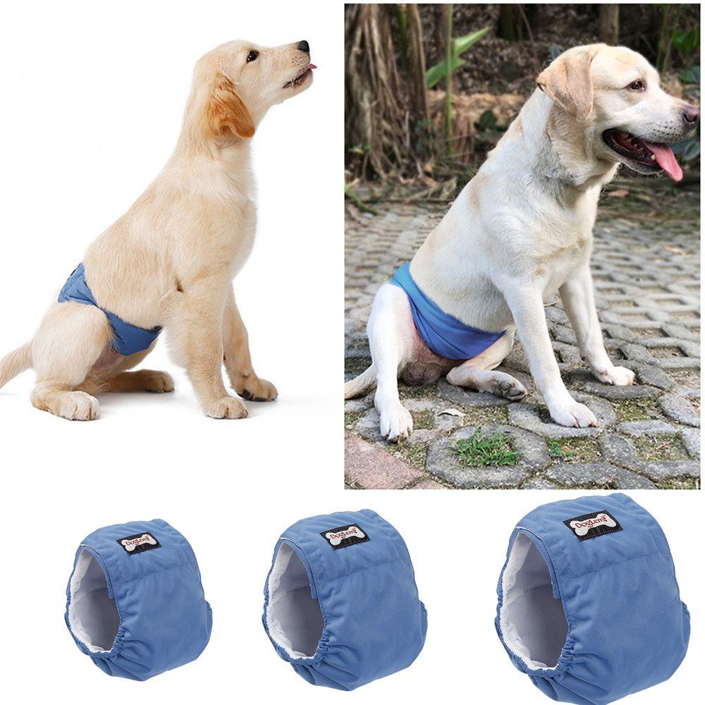 Layor1 Quần Sinh Lý Co Giãn Thiết Kế Dành Cho Cún Cưng