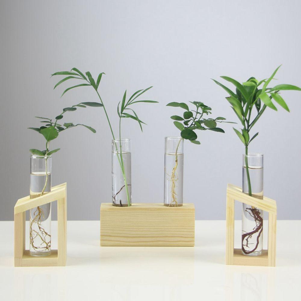 Bình Kính Trồng Cây Thủy Tinh Để Bàn Tiện Dụng