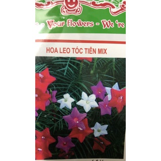 Hạt giống hoa Tóc tiên leo