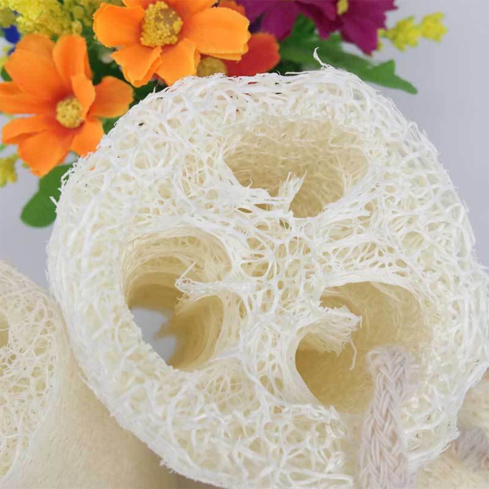 [Tổng Kho Sỉ] Miếng Rửa Bát Ruột Bầu - Xơ Mướp Siêu Tạo Bọt T10 CDS1594