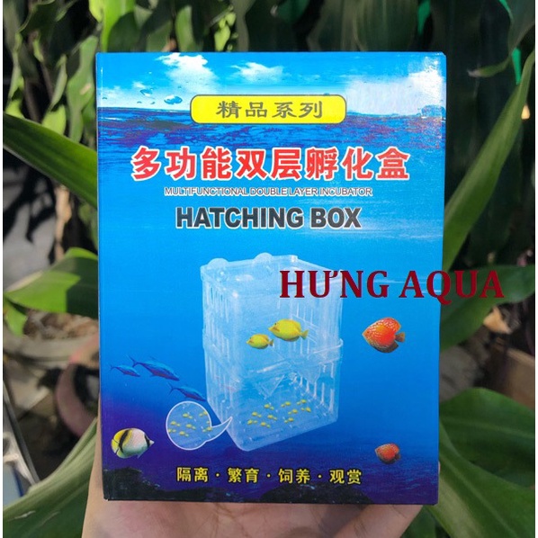 Lồng đẻ cho cá cảnh, lồng dưỡng cá, cách lý cá loại đơn và đôi