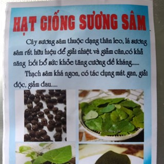 Hạt giống sương sâm gói 5 gam