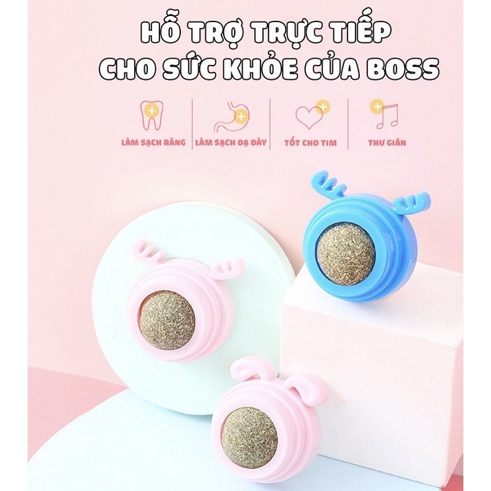 CATNIP Viên Cỏ Bạc Hà Cho Mèo Gắn Tường  Giảm Stress Hỗ Trợ Tiêu Hóa Tiêu Búi Lông Cân Bằng Dinh Dưỡng Cho Mèo