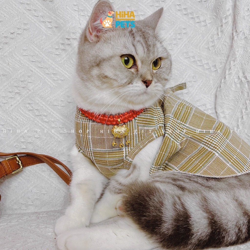 Quần Áo Cho Chó Mèo Mùa Hè 2022 Quần Áo Thú Cưng Giá Rẻ Hihapet.