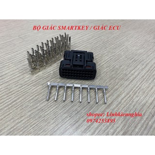 Bộ Giắc nhựa Smartkey- Bộ giắc ECU (1 bộ)