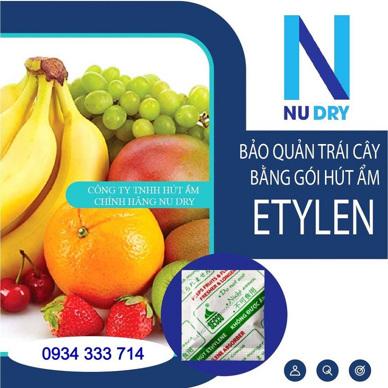 Gói hút khí bảo quản trái cây rau quả thực phẩm túi hút ẩm ethylene 100/200/500 Gr  - NU DRY