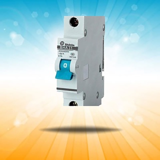 Cầu dao dạng tép (Aptomat - MCB) Shihlin model BHA 1P (6KA)