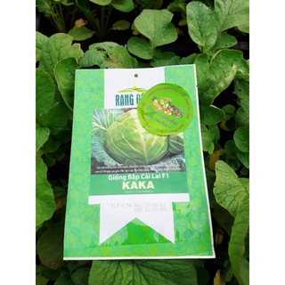 [ Rạng Đông] Hạt Giống Bắp Cải Xanh Lai Kaka F1 gói 0,5g Chịu Nhiệt, Năng Suất Cao